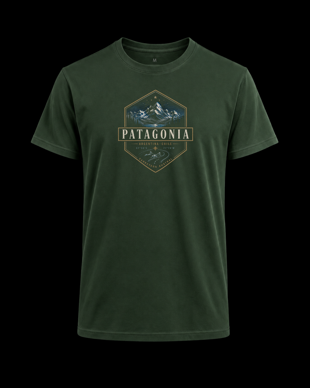 Camiseta Patagonia