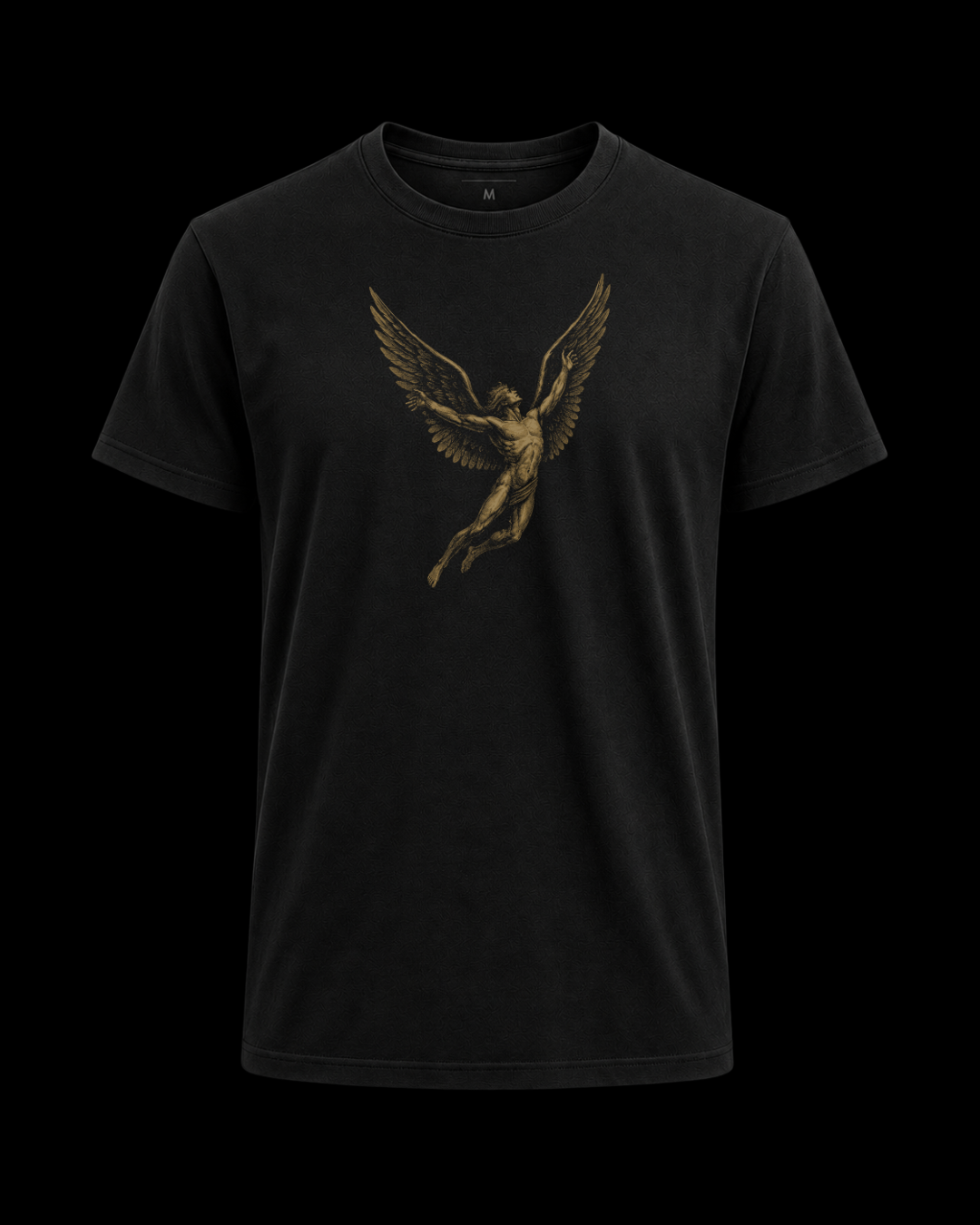 Camiseta led zeppelin Ícaro