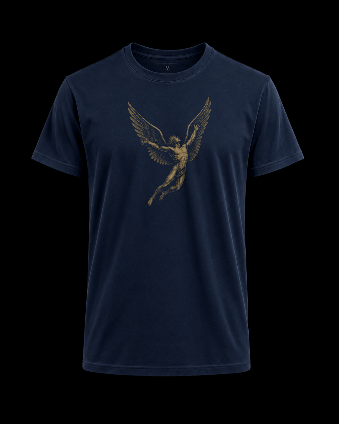 Camiseta led zeppelin Ícaro