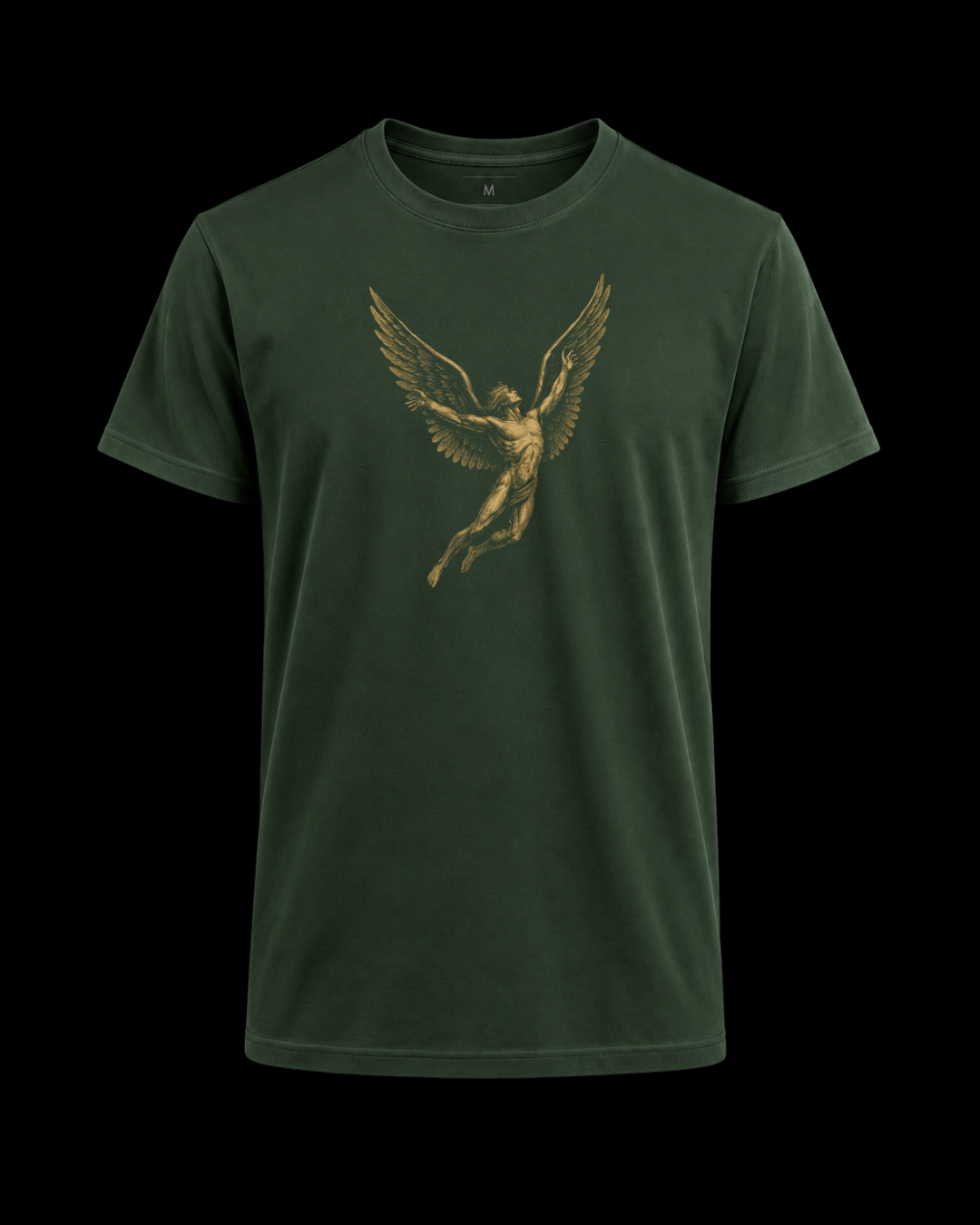 Camiseta led zeppelin Ícaro
