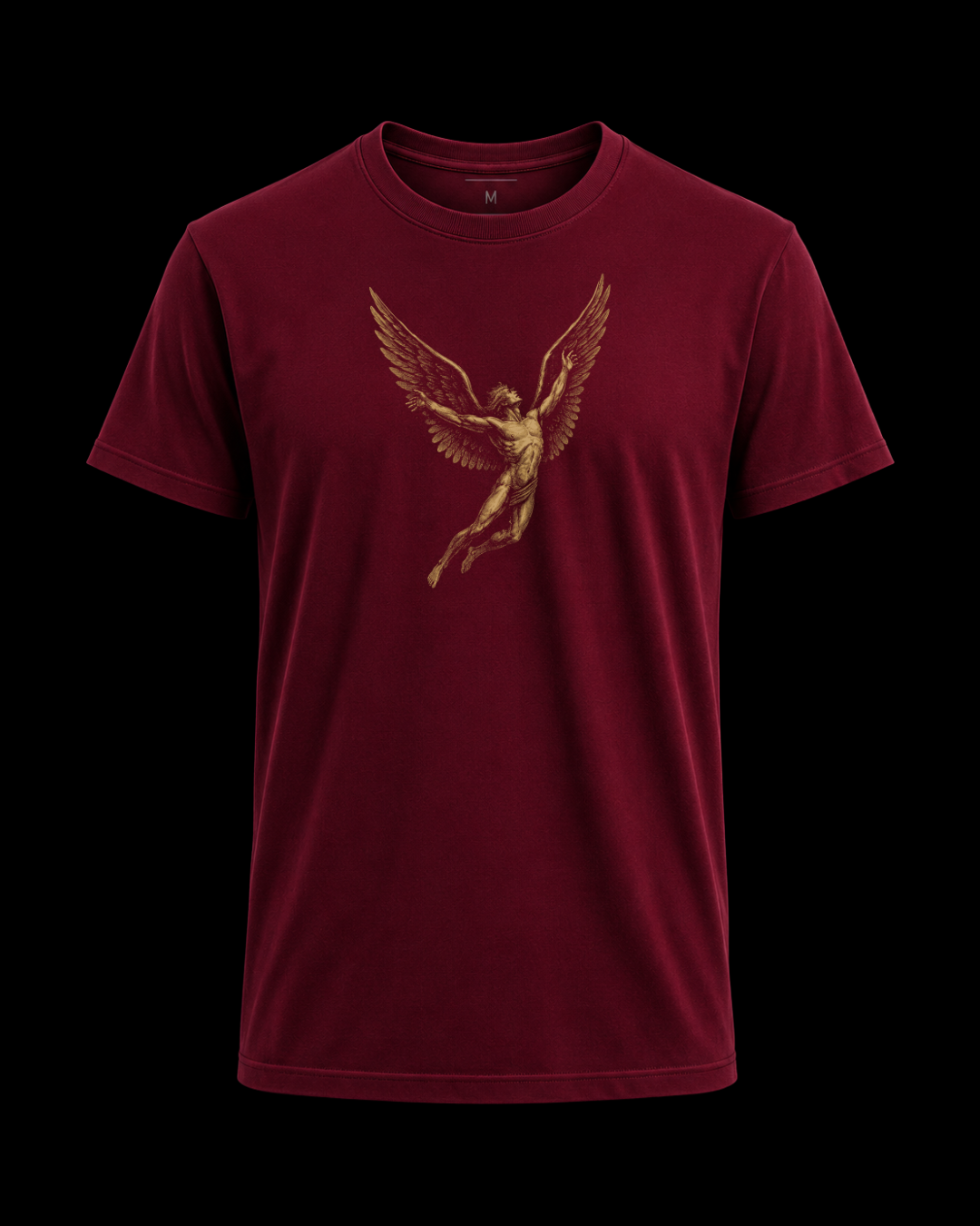 Camiseta led zeppelin Ícaro